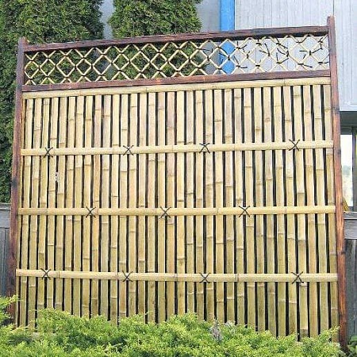 Bamboo Designer Jafari