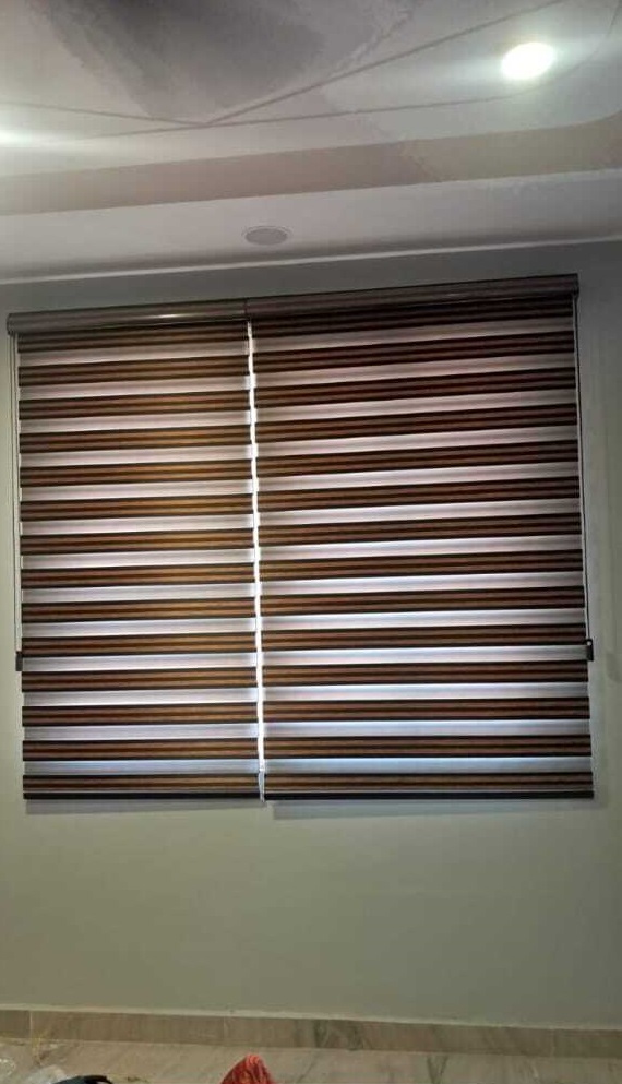 Zebra Blinds